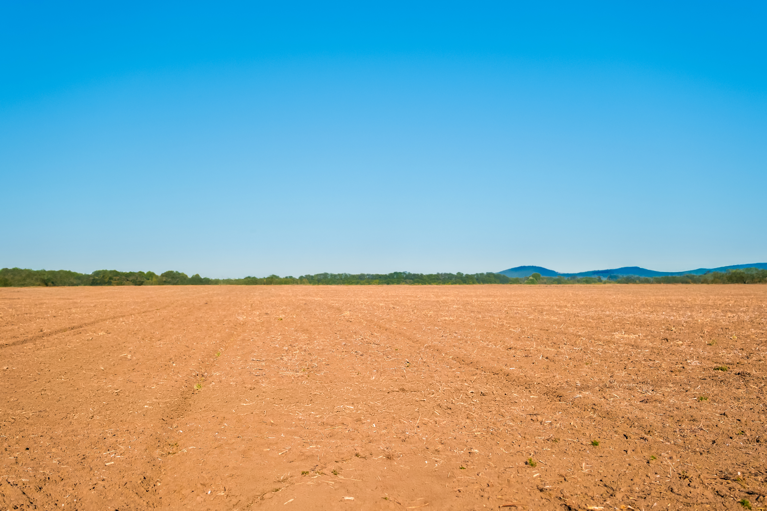 Terrain à vendre Marrakech