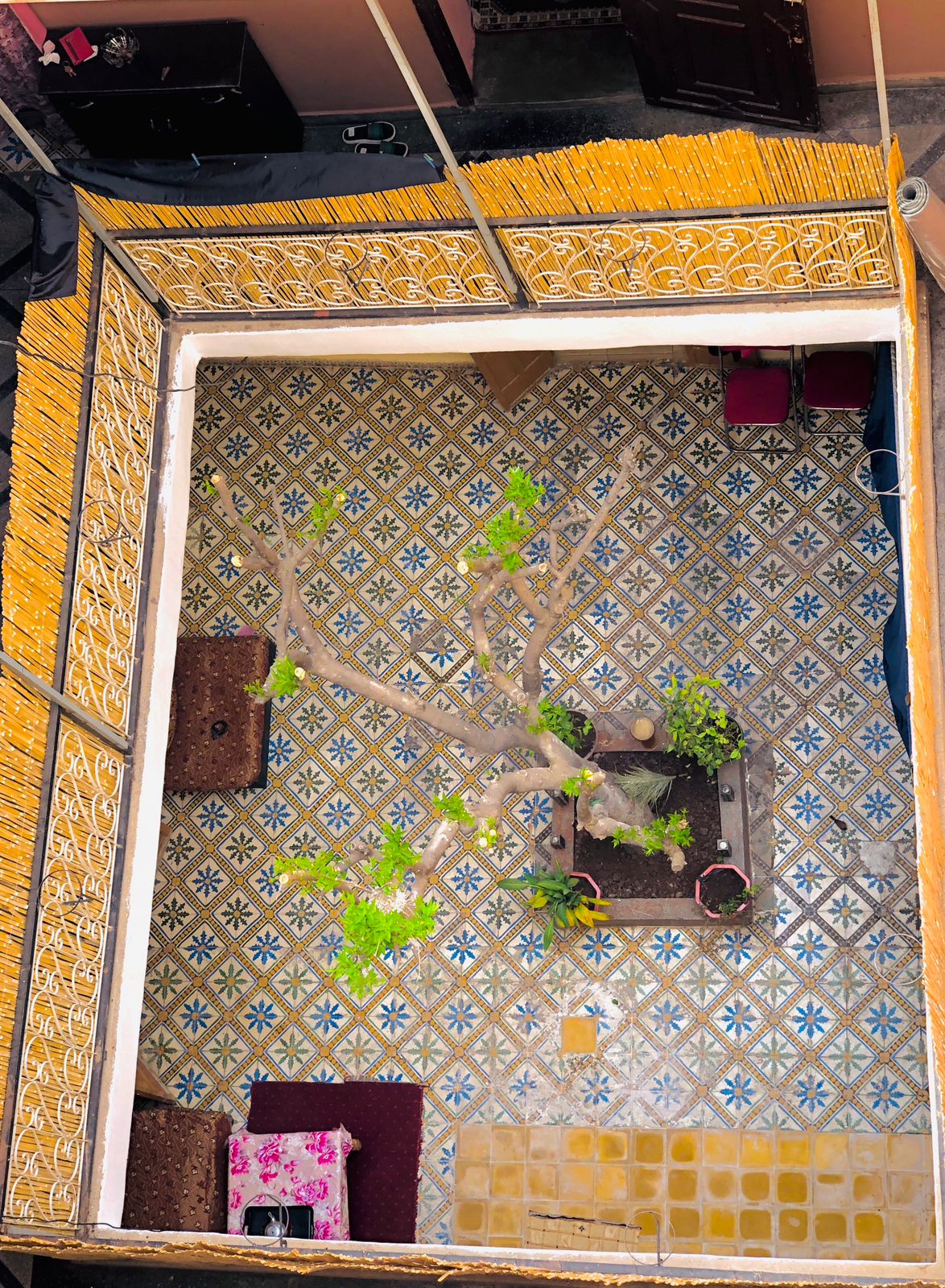 WhatsApp Image 2025-12-26 at 09.35.48